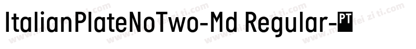 ItalianPlateNoTwo-Md Regular字体转换